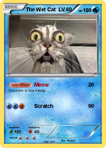 Pokemon The Wet Cat  LV.60