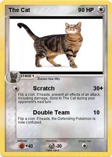 Pokemon The Cat