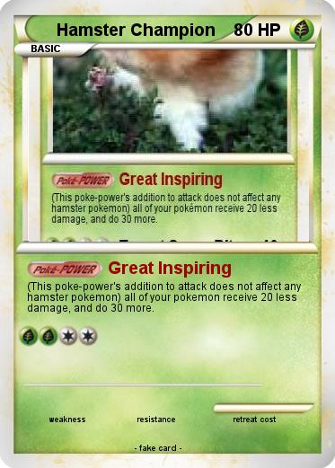 Pokemon Hamster Champion