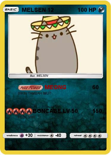 Pokemon MELSEN 12