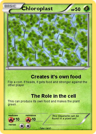 Pokemon Chloroplast