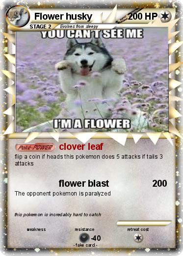 Pokemon Flower husky
