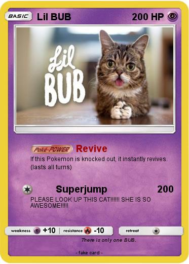 Pokemon Lil BUB