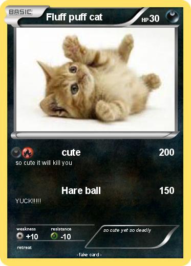 Pokemon Fluff puff cat