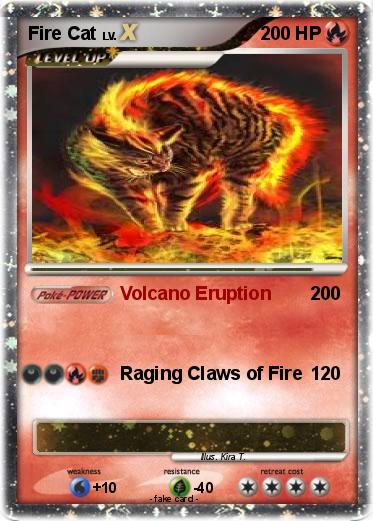 Pokemon Fire Cat