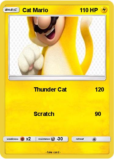 Pokemon Cat Mario
