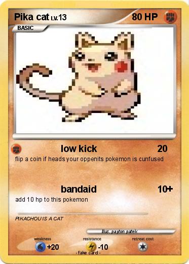 Pokemon Pika cat