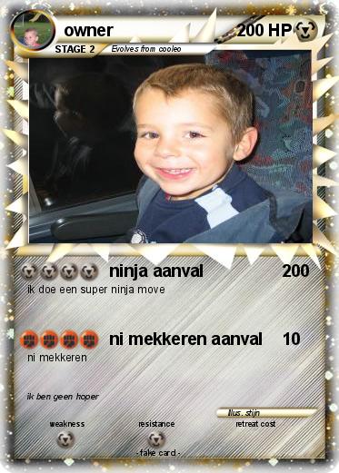Pokemon owner