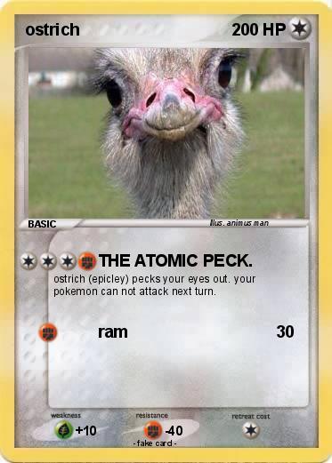 Pokemon ostrich