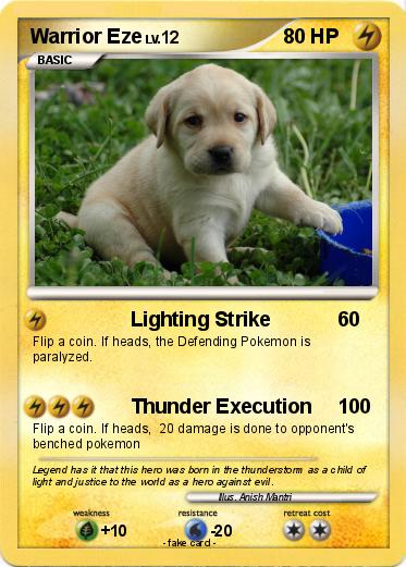 Pokemon Warrior Eze