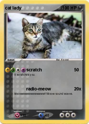 Pokemon cat lady