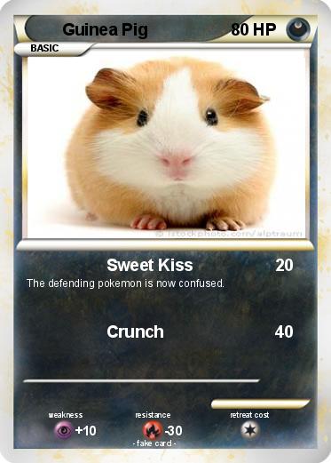 Pokemon Guinea Pig