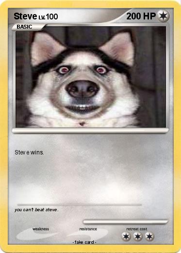 Pokemon Steve
