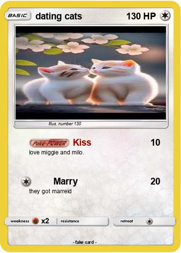 Pokemon dating cats
