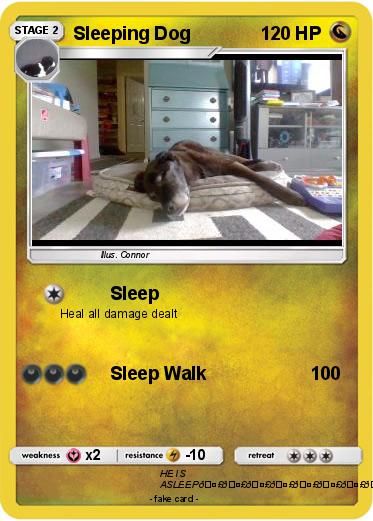 Pokemon Sleeping Dog