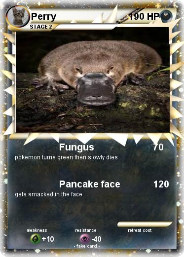 Pokemon Perry