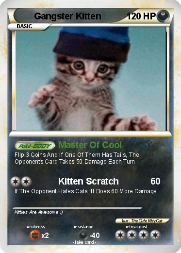 Pokemon Gangster Kitten
