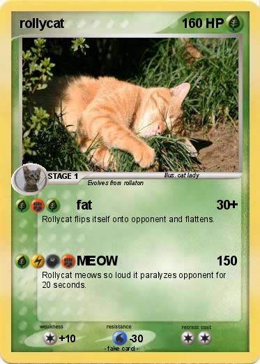Pokemon rollycat
