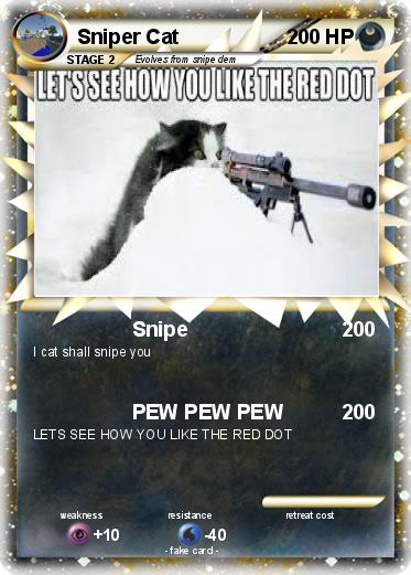 Pokemon Sniper Cat