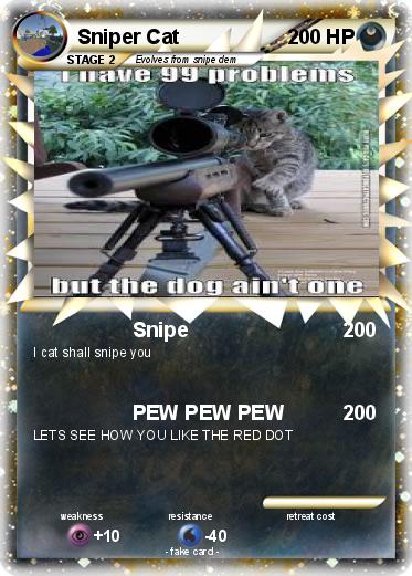 Pokemon Sniper Cat