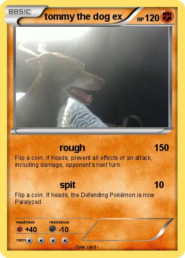 Pokemon tommy the dog ex