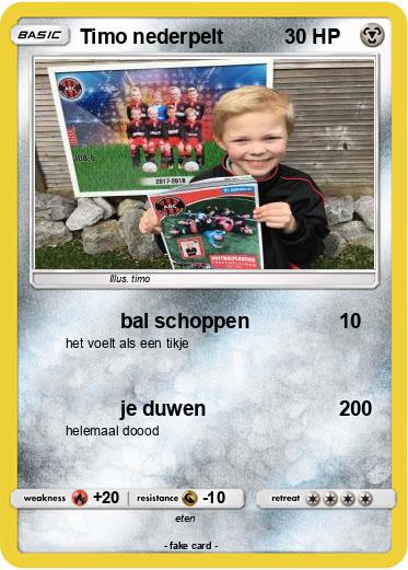 Pokemon Timo nederpelt
