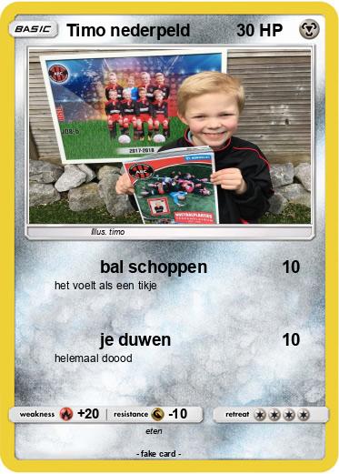 Pokemon Timo nederpeld