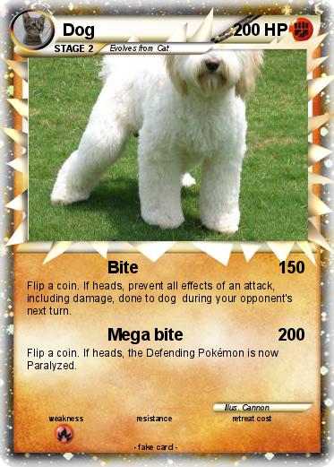 Pokemon Dog