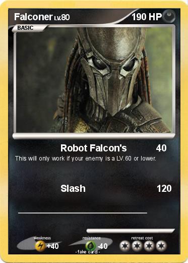 Pokemon Falconer