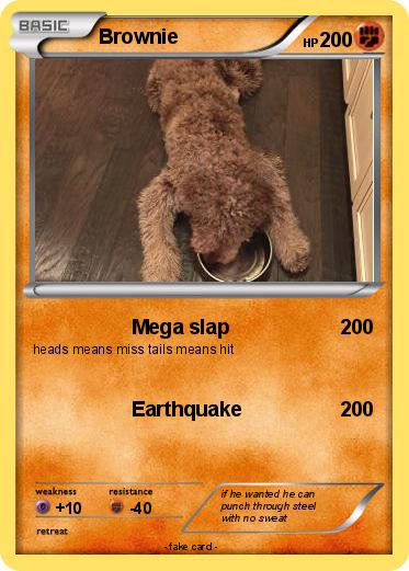 Pokemon Brownie