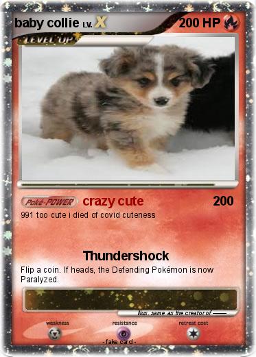 Pokemon baby collie