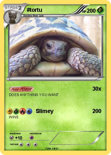 Pokemon #tortu