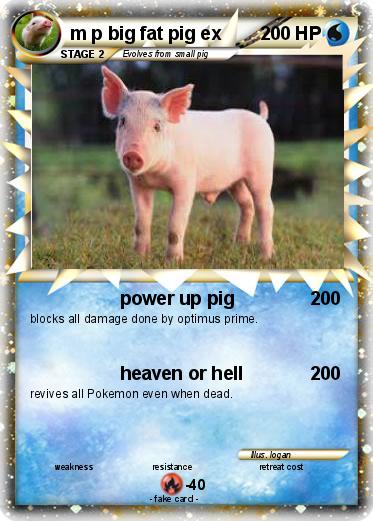 Pokemon m p big fat pig ex