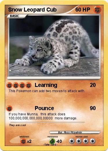 Pokemon Snow Leopard Cub