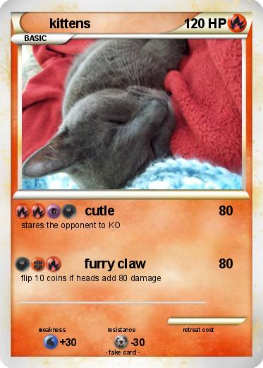 Pokemon kittens