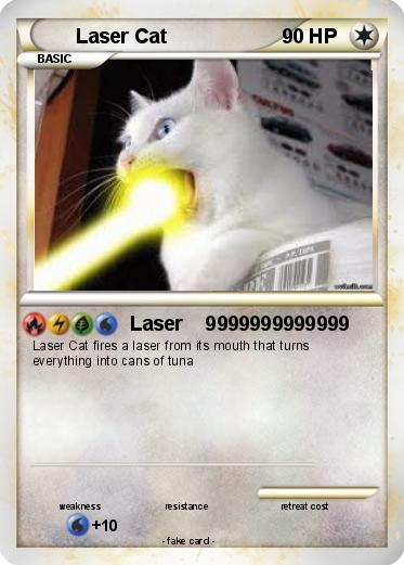 Pokemon Laser Cat
