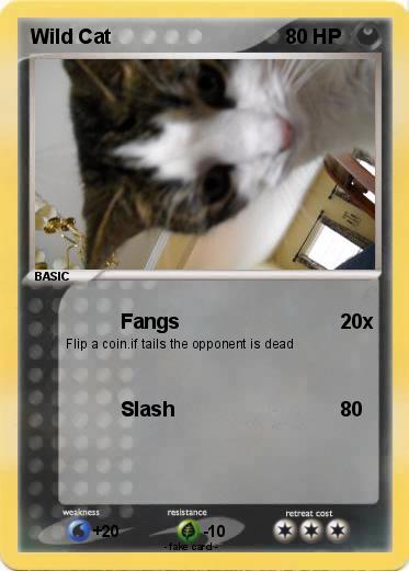 Pokemon Wild Cat