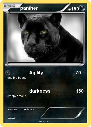 Pokemon panther
