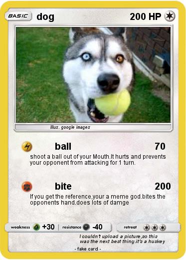Pokemon dog