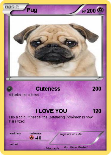 Pokemon Pug