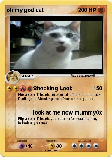 Pokemon oh my god cat