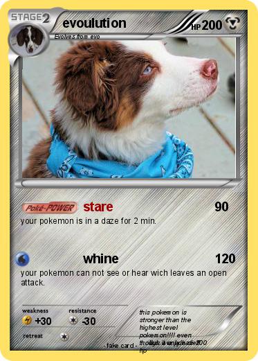 Pokemon evoulution