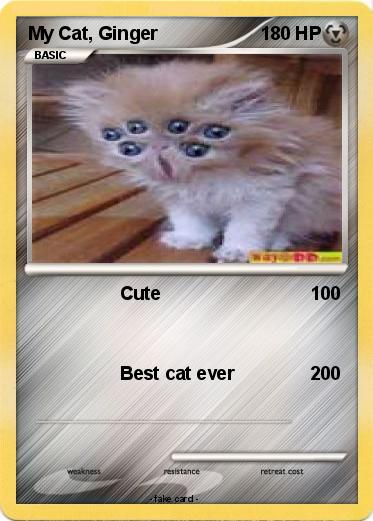 Pokemon My Cat, Ginger