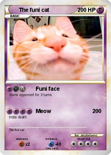 Pokemon The funi cat