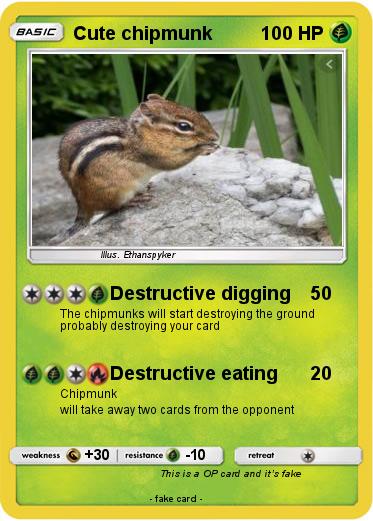 Pokemon Cute chipmunk