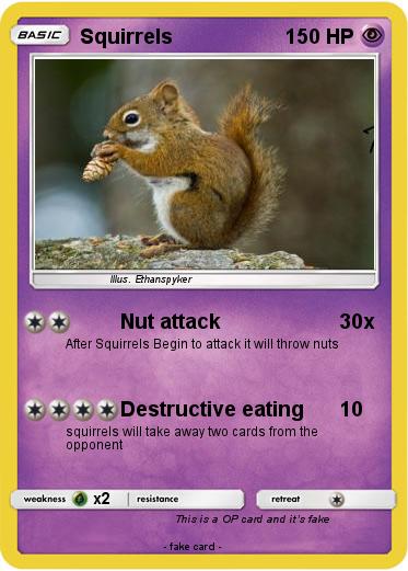 Pokemon Squirrels