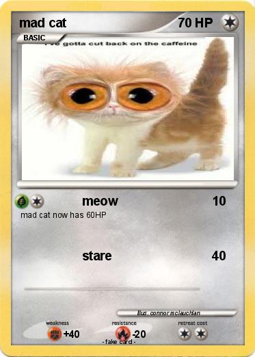 Pokemon mad cat