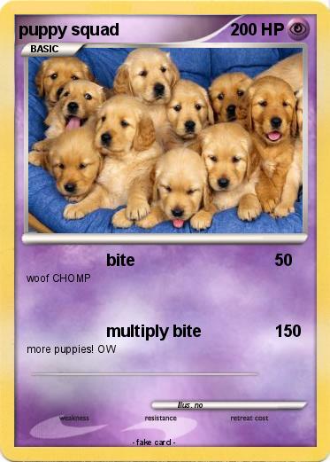 Pokemon puppy squad