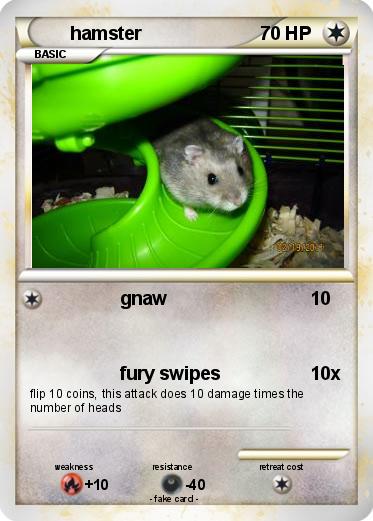 Pokemon hamster