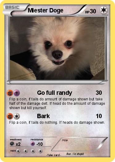 Pokemon Miester Doge